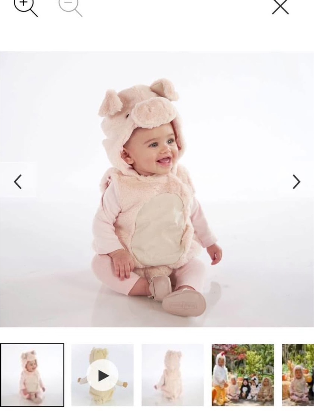 Pottery Barn Kids Pink Plush Pig Costume